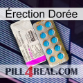 Érection Dorée new07